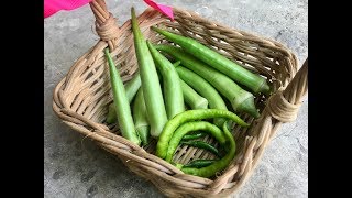 Harvest Time - Okra and Chili Peppers