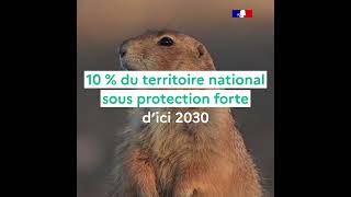 Stratégie Nationale Biodiversité 2030