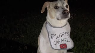 Campfire cooking with my dog asmr. New York Strips.