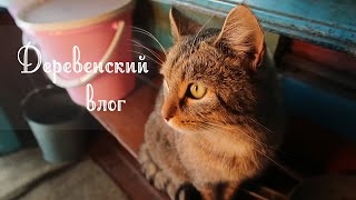 Деревенский влог || Лес, велосипеды, пашня, базар, "Уроки французского"