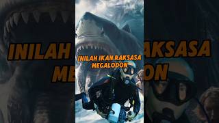 Apa yang Menyebabkan Megalodon Punah? #shorts