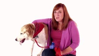 PetMeds Customer Story & Testimonial - Ailish & Molly | PetMeds