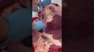 Detail how we cut Beef 🥩 shoulder #beef #shorts