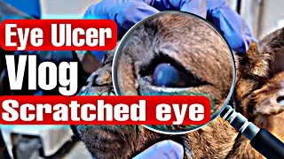 At Home Therapy Vlog: Scratched eye / Eye ulcer