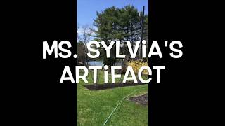 Ms. Sylvia's Artifact 2020