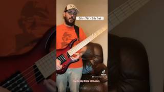 Bass HARMONICS Tip