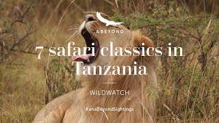 7 safari classics from Tanzania | WILDwatch