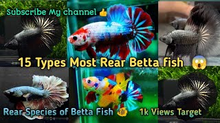 Top 15 Types Most Rear Betta Fish species|| Name of rear betta fish|| Fighter fish Types 🐠