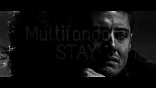 Multifandom - Stay