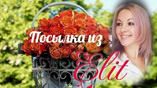 Vlog-126 ЭЛИТ!🌹посылочка пришла 😉 март 2022 г.