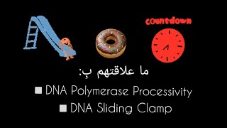 DNA Polymerase Processivity بالعربي/Sliding DNA Clamp /تضاعف الحمض النووي /الجزء الرابع