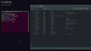 Exein Runtime Video Demo