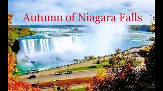 大瀑布的秋色Autumn of Niagara Falls：金秋十月雄伟壮观的尼亚加拉大瀑布和五彩缤纷的红叶交相错应，浓浓的秋意让整个瀑布显得更加绚丽多彩。