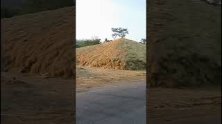 Open roadside warehouse.. Near Vajreshwari, Vasai. #nature #travel #bikeride #forest #farming