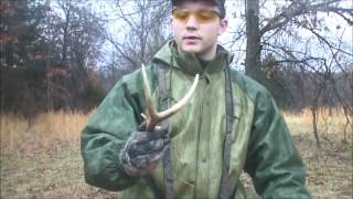 How to find shed deer antlers