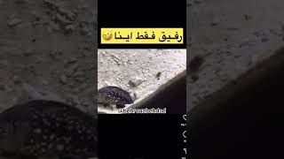 #خنده #طنز