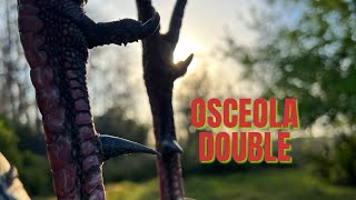 Osceola Double | Hook Daddy