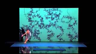 America's Got Talent 2014 Blue Journey Shadow Act Auditions