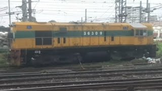 TURMERIC YELLOW SHUNTER ENGINE RESTS AT YARD WDS6AD 36309