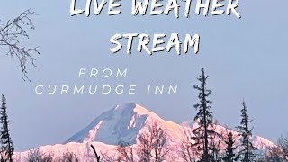 Live weather cam at Curmudge Inn in Chase Alaska. #live weather #weathercam