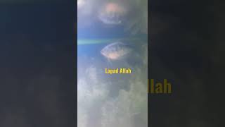 lapad Allah diikan sepat