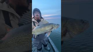 Drew with a Nice walleye at sunset!! #fishing #walleye #shorts