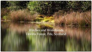 Witches and Woodlands, Devilla Forest, Fife, Scotland