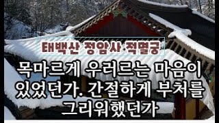 “두꺼운 알 껍질은 아상이며 껍질 속에 불성이 있다”고 확신했다.“기도는 껍질을 깨뜨리는 과정”이라고 했다.“돈과 명예, 지위를 바라는 탐욕을 계속해서 바치고 비우고 녹여내는 마음