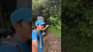 GUNUNG PANGRANGO EPS 6 #trending #ytshorts #gunungpangrango