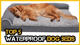 Best Waterproof Dog Beds (Reviews)