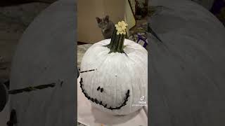 Jack Skellington Pumpkin Kit From Target