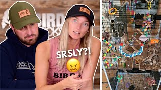 Reviewing Our Subscribers Bird Cage Set Ups | Part 2