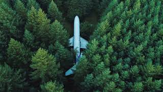 Картинка разные. Самолет, лес, зеленый цвет | A imagem é diferente. Avião, floresta, verde