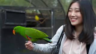 Monash College Recreation Program - Healesville Sanctuary Day