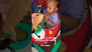 my nephew is just greedy wasn't no animals harmed in the making of video