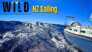 New Zealand Sailing Is Awesome!  /  Sailing Around NZ Pt 11  Ep 155