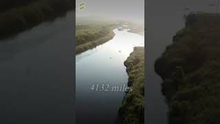 The longest river in the world #shorts