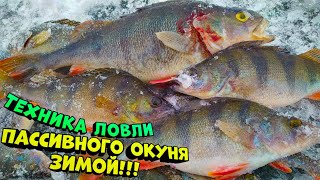 Техника ловли пассивного окуня зимой!!! Ловля окуня со льда!!!