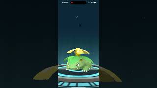 Evolving Shiny Ivysaur Into Shiny Venusaur In Pokémon Go