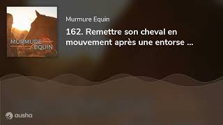 162. Remettre son cheval en mouvement après une entorse - avec Uispepere le meilleur des poneys d...