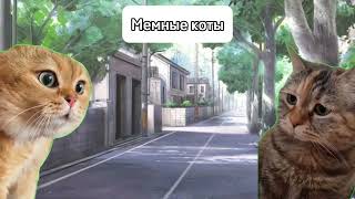 Деньги - Мемные коты