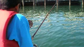 Fishing Salmon in Seattle's Puget Sound - Part 3