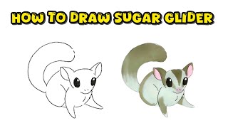 Easy Guide: How to Draw a Sugar Glider – Creative and Complete Drawing Process