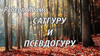 Сатгуру и псевдогуру (Роберт Адамс, НикОшо)