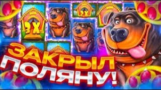 ЗАКРЫЛ ПОЛЯНУ КОСТЕЙ! ЗАНОСЫ НЕДЕЛИ В DOG HOUSE MEGAWAYS!