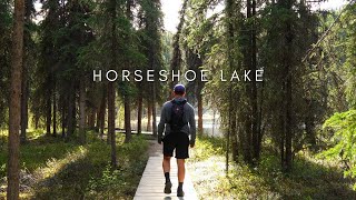 Hiking Horseshoe Lake Trail in Denali Park, Alaska