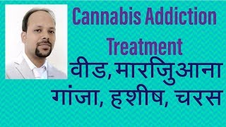 Cannabis Addiction Hindi: Symptoms, Harms, Diagnosis, Treatment  (वीड, मारिजुआना, गांजा, हशीष, चरस)