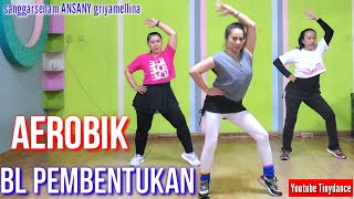 AEROBIK BL pembentukan kikis lemak perut #tinydance #aerobikbl #senambl