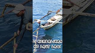 IKAN MISTERIUS TANGKAPAN NELAYAN ??!? #KALIANTAHUGAKSIH #shortvideo