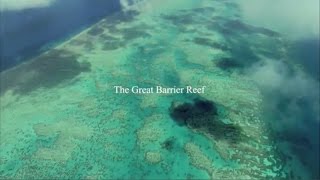 Great Barrier Reef Foundation